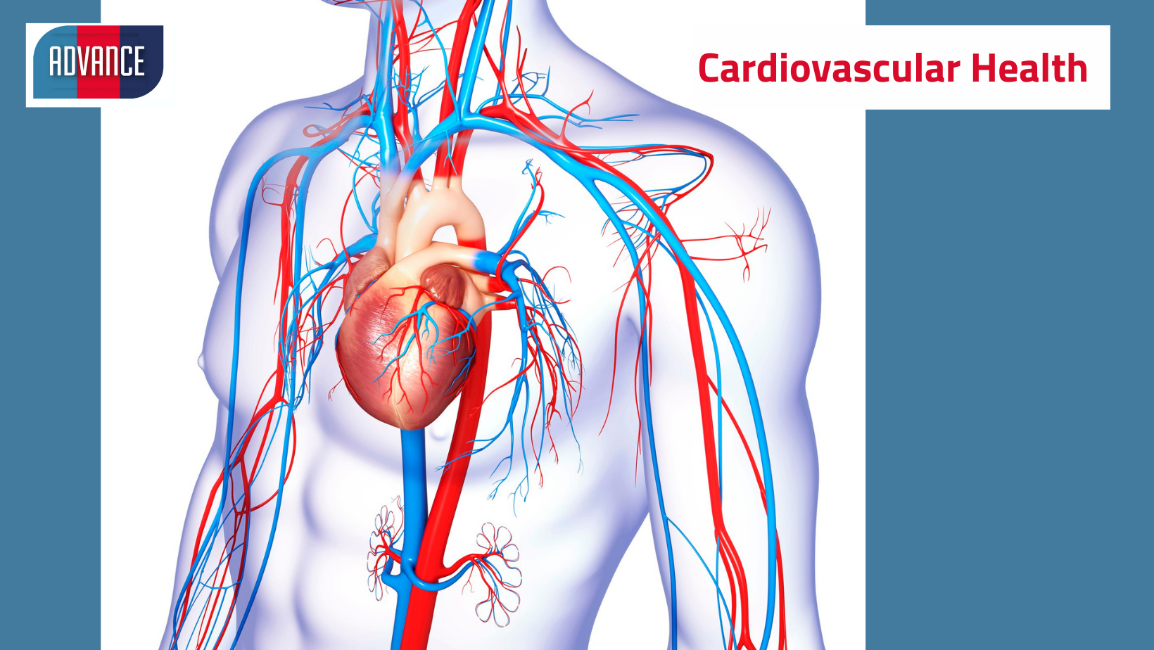 You are currently viewing 28th May 2021: Your ADVANCE day explained – Cardiovascular tests