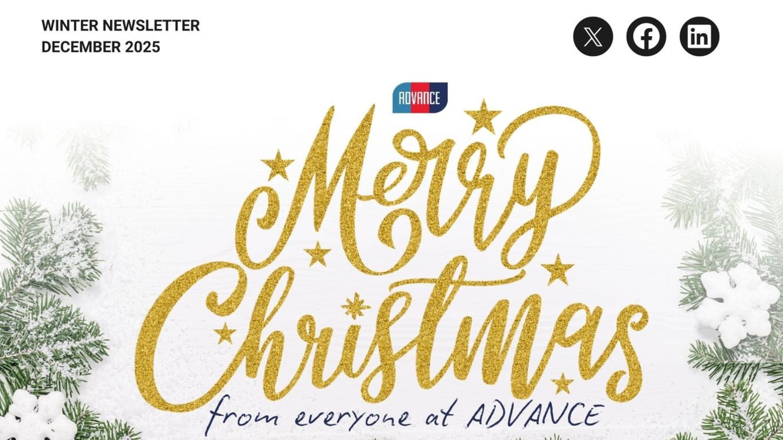 Read more about the article Winter Newsletter 2025